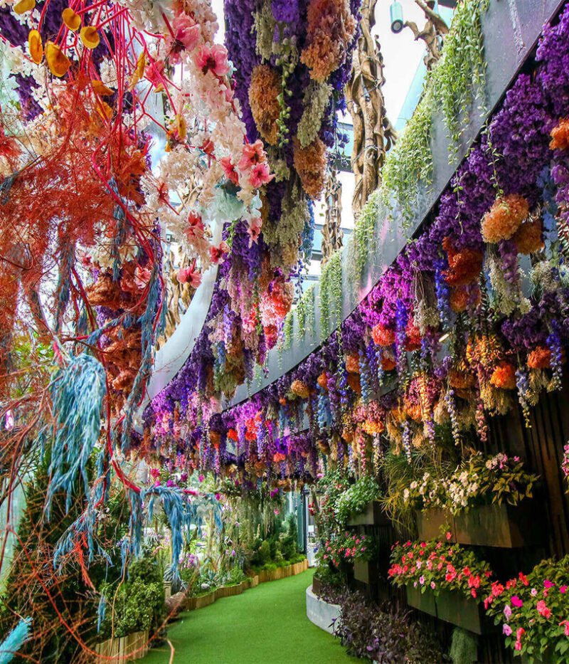 امکانات گاردن بای د بی سنگاپور